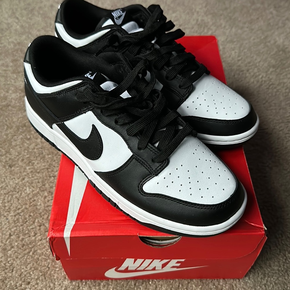 Men’s Nike Dunks